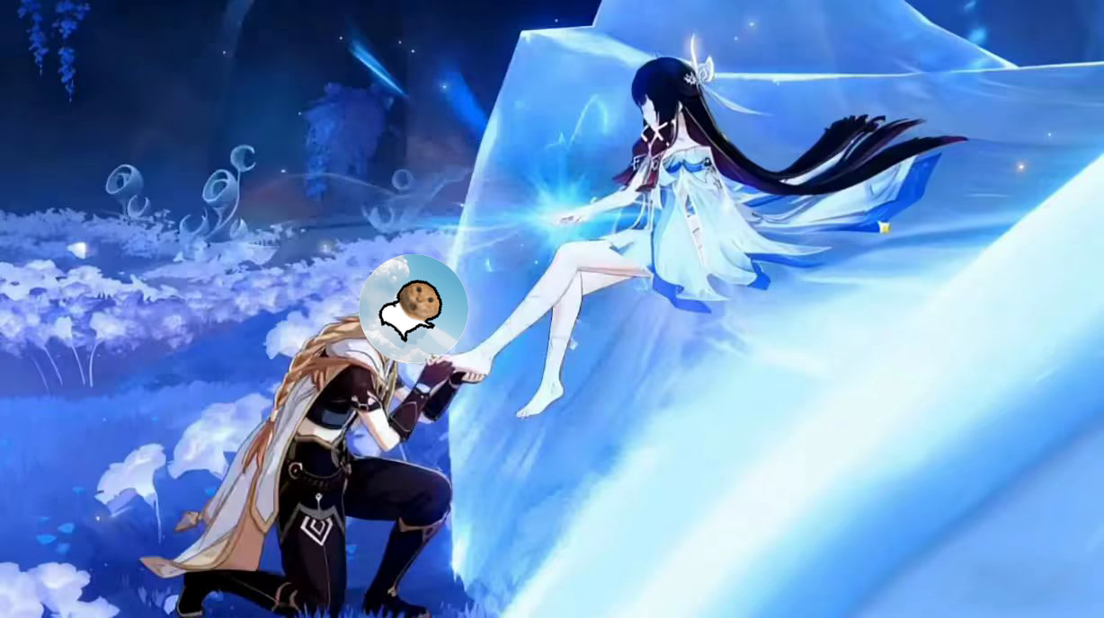 meme mihoyo_columbina_jade_feet